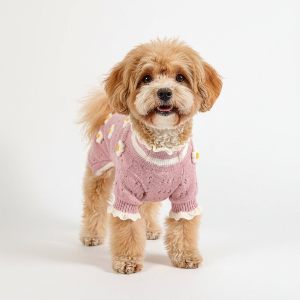 NEW Boho Pink Daisy Knit Dog Sweater - Size Large